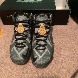 LeBron  XII worn in basketball only